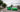 How Do You Make a Signal Green 997 GT3RS Better?
