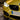 Karbonius F8X M3 / M4 Carbon Fiber Front Grille Set